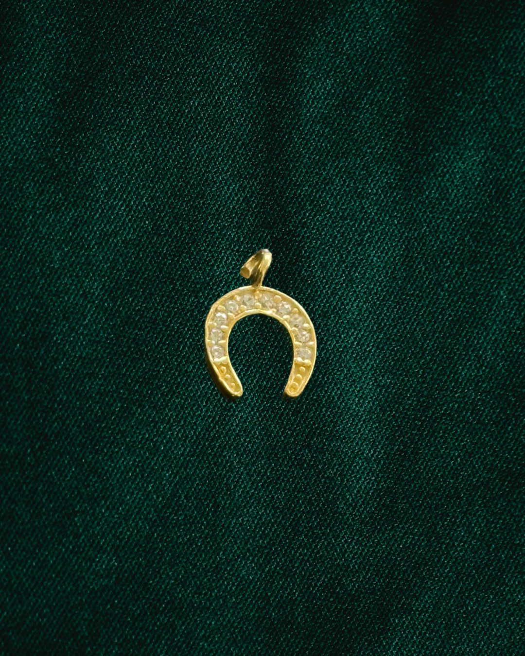 Horseshoe charm
