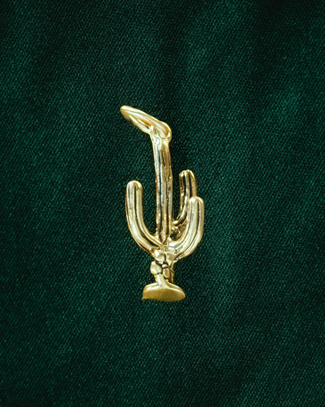 Kaktüs charm