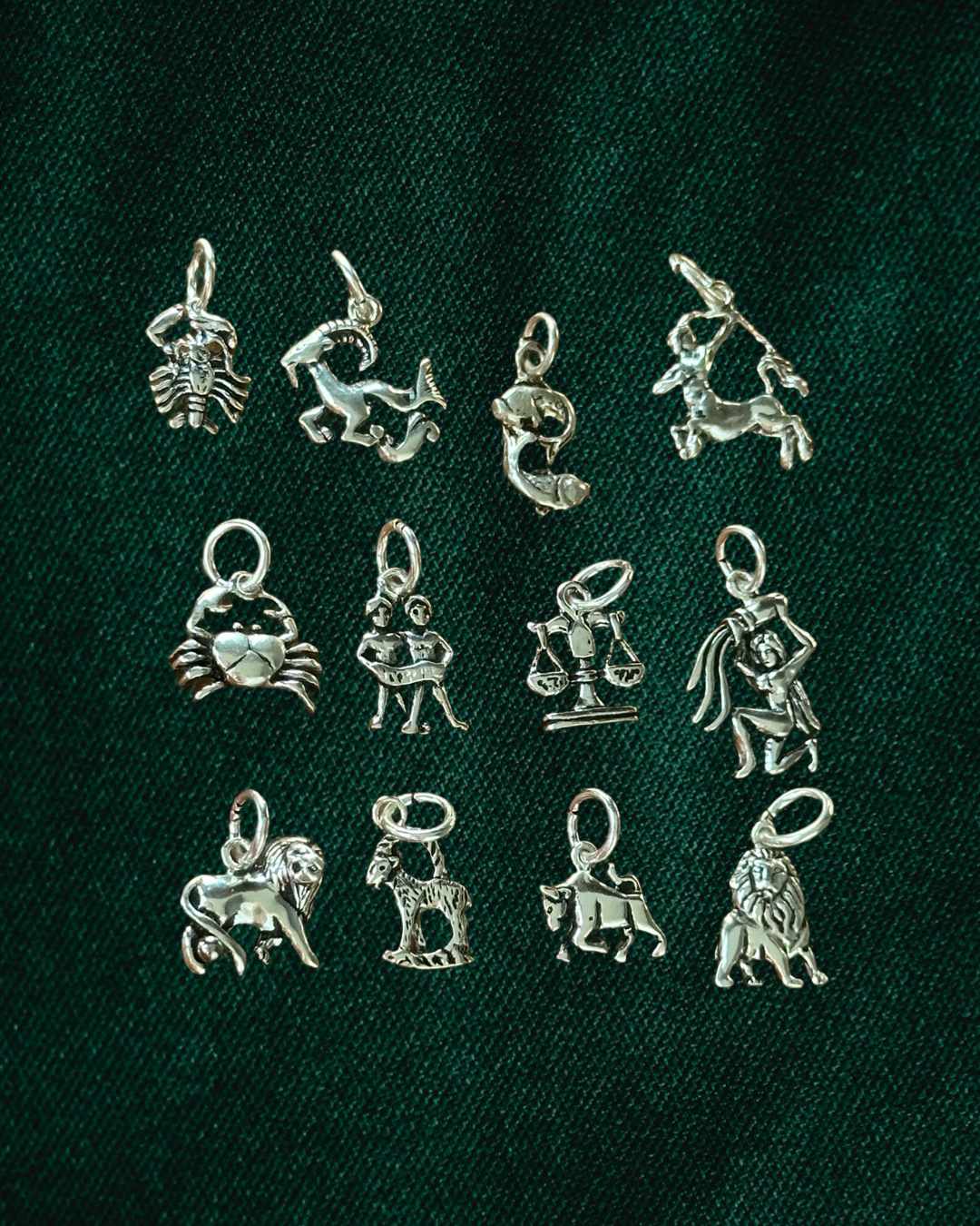 My Zodiac Sign Charm