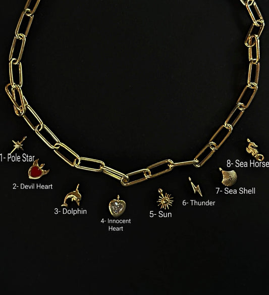 The 925 Tiny Charm necklace