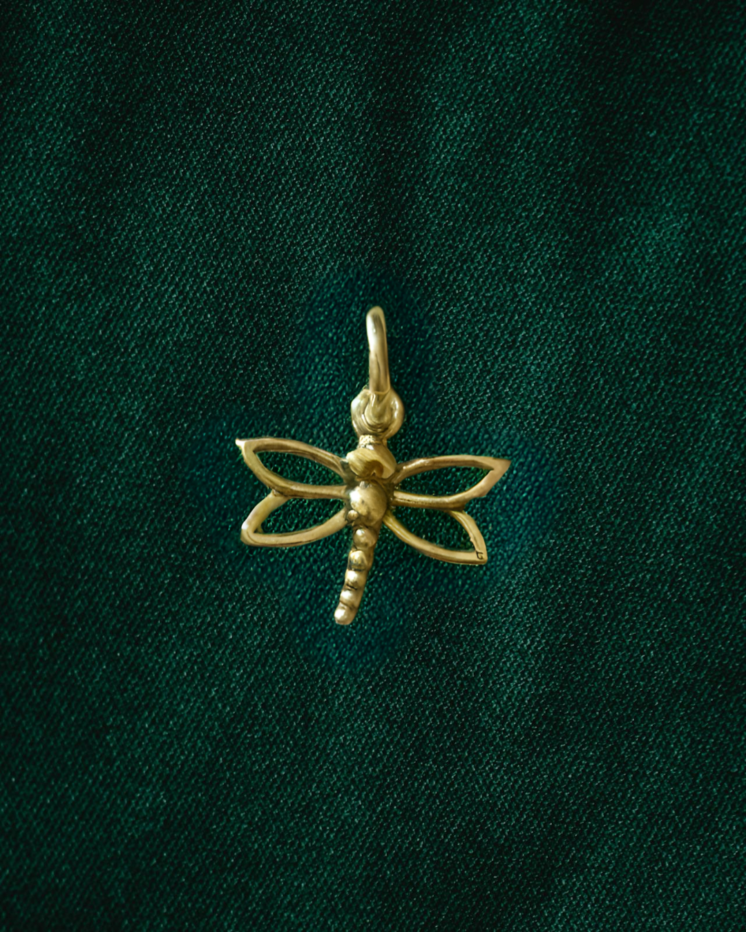Dragonfly Charm
