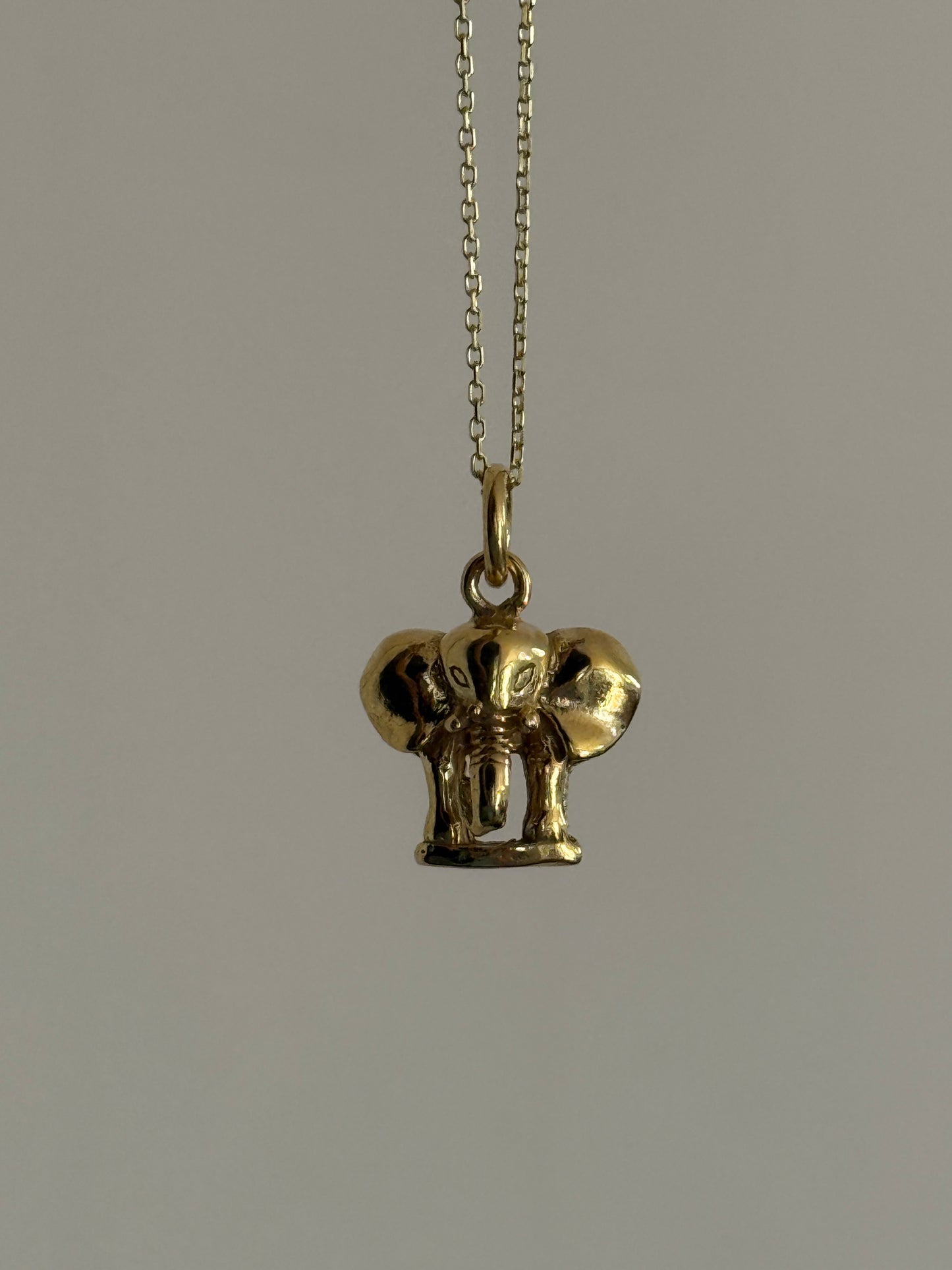 Gaja Necklace