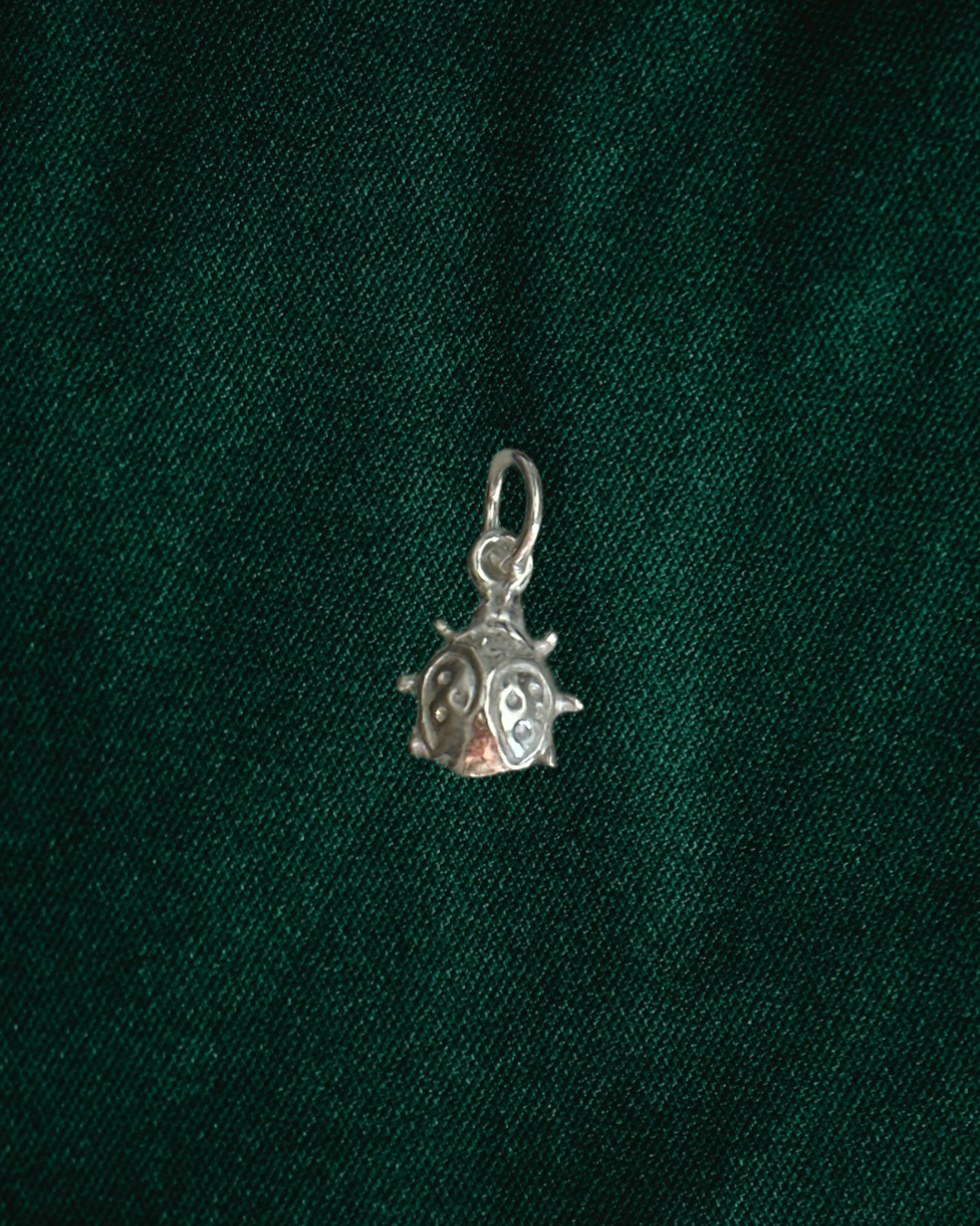 Ladybug Charm