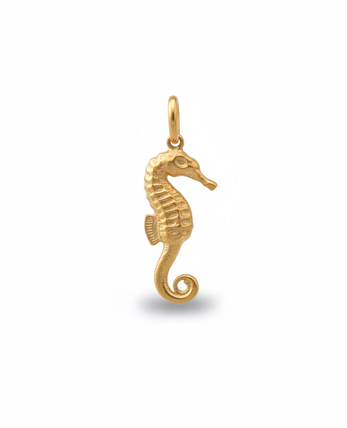 Deniz Atı charm