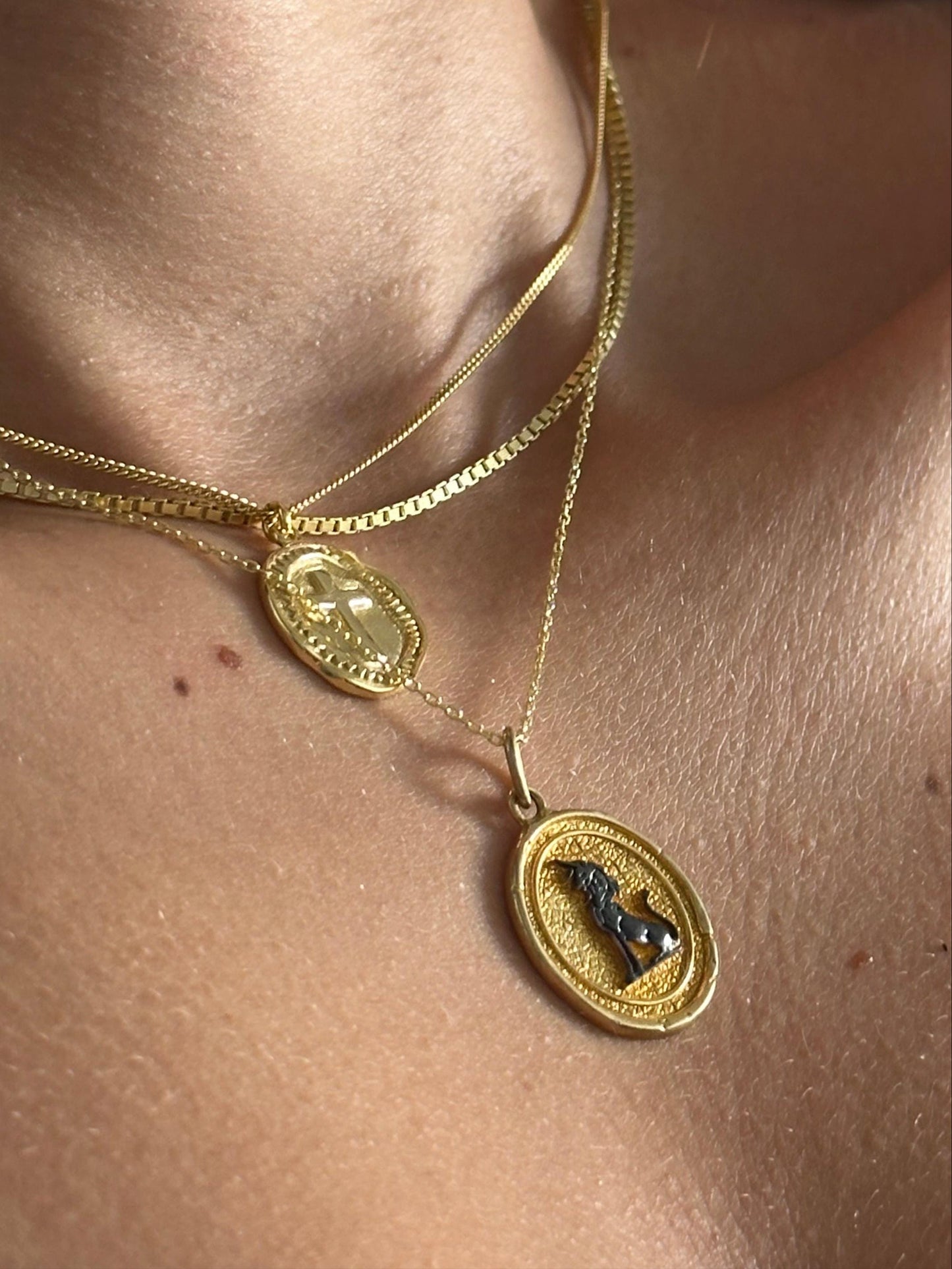 The 925 Lion Plaque necklace