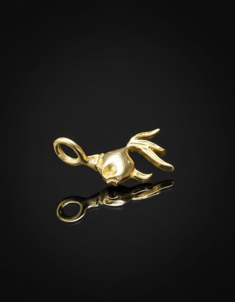 Koi charm