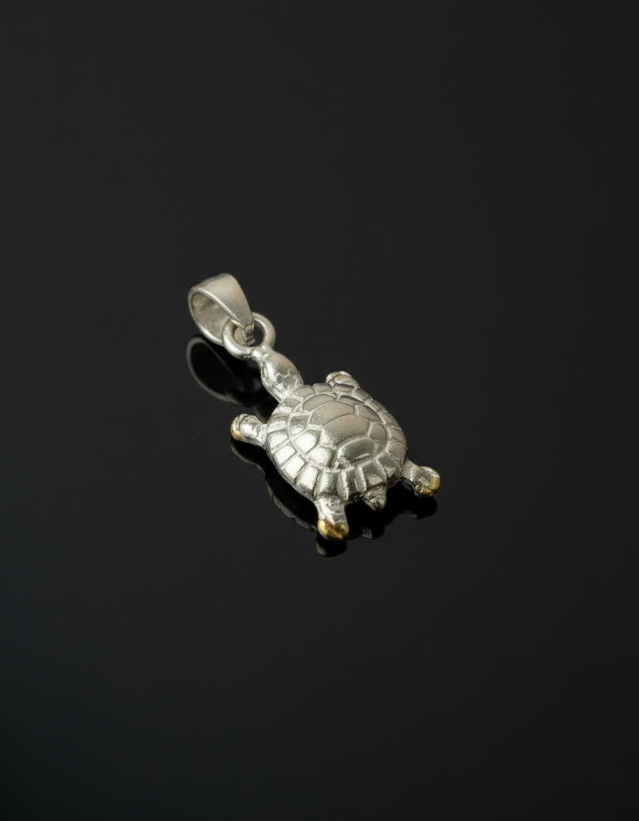 The 925 Turtle charm