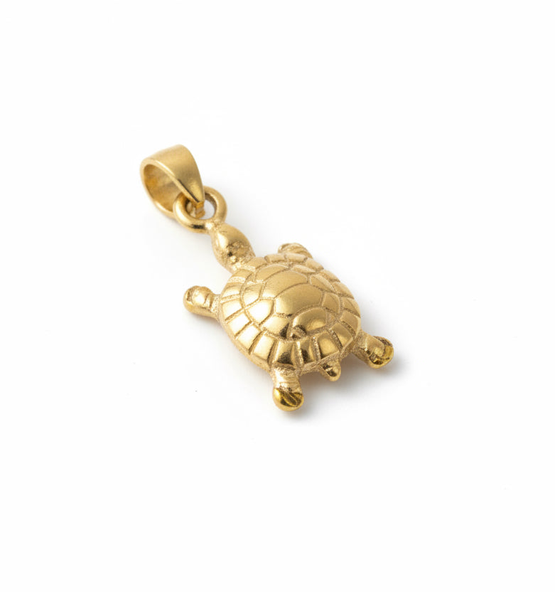 Kaplumbağa charm