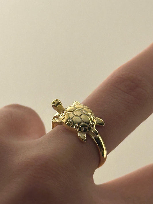 The 925 Slow and Gentle ring