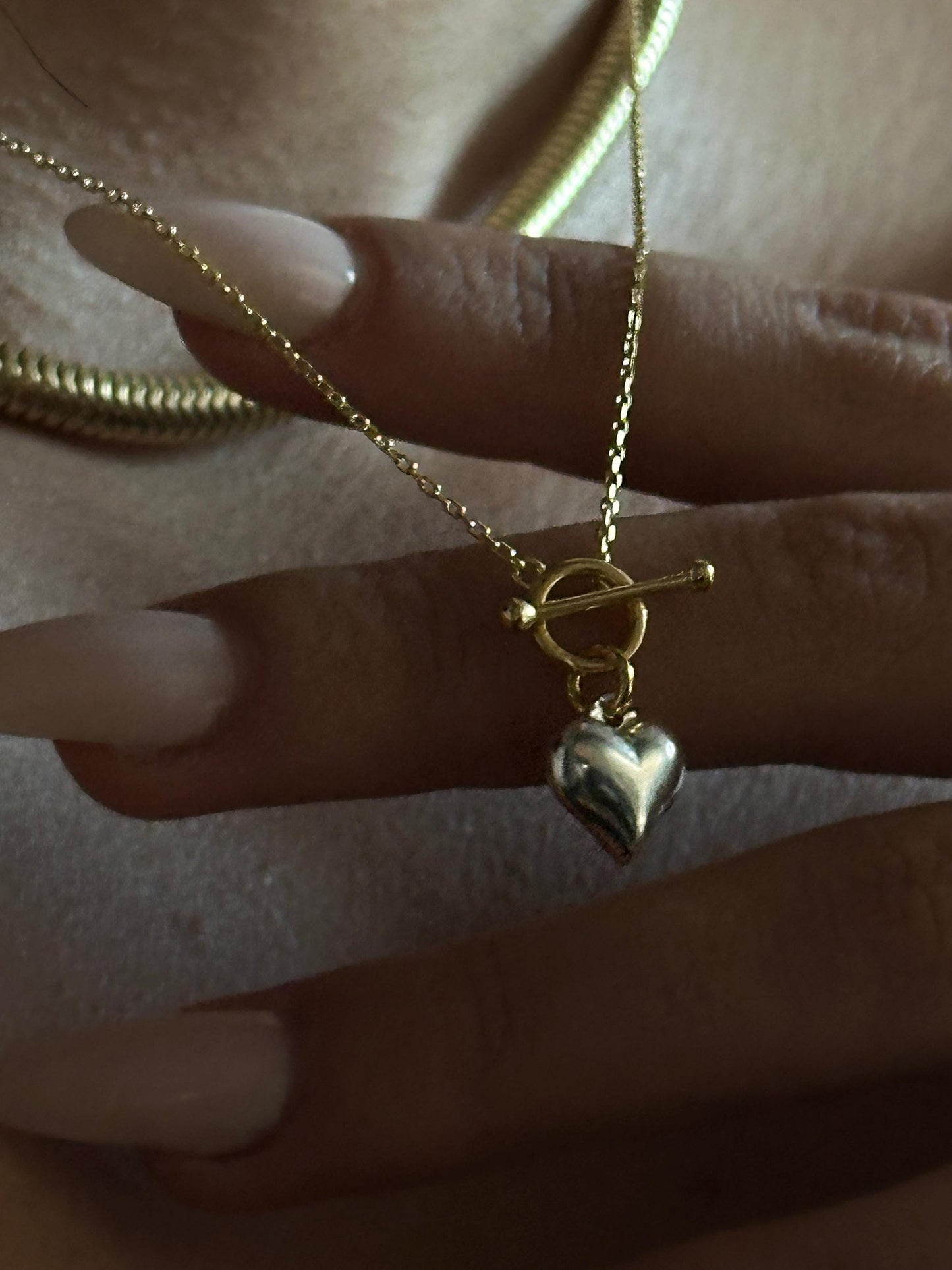 The 925 Beloved Charm necklace