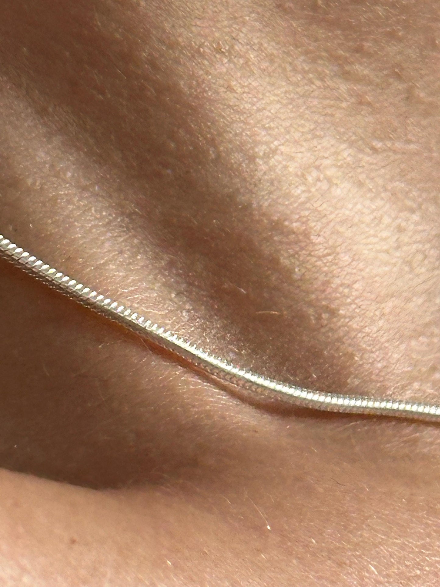 The 925 Thin Snake Chain