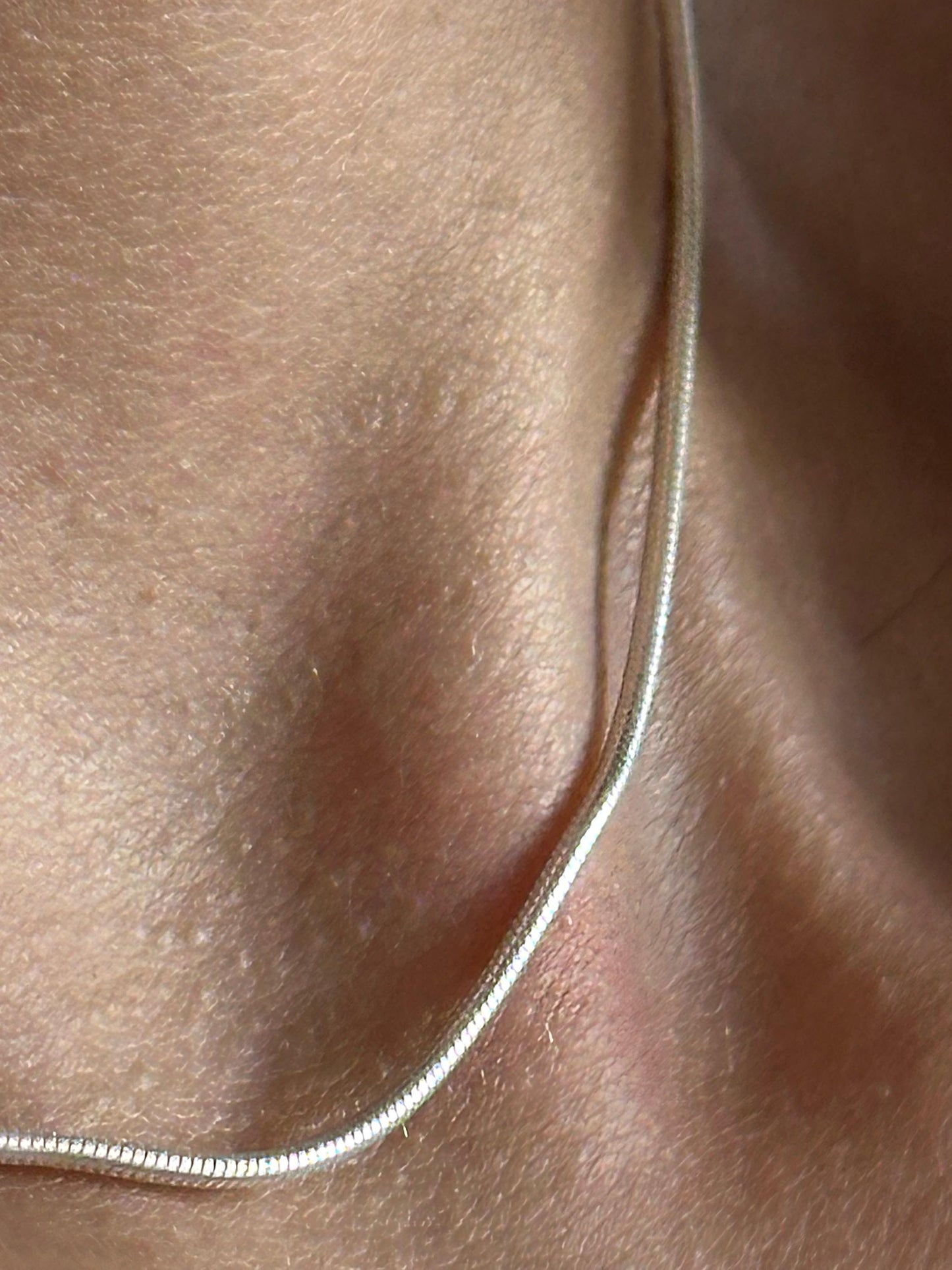 The 925 Thin Snake Chain