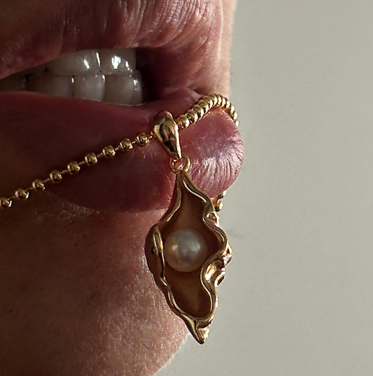 The 925 Mother Pearl necklace