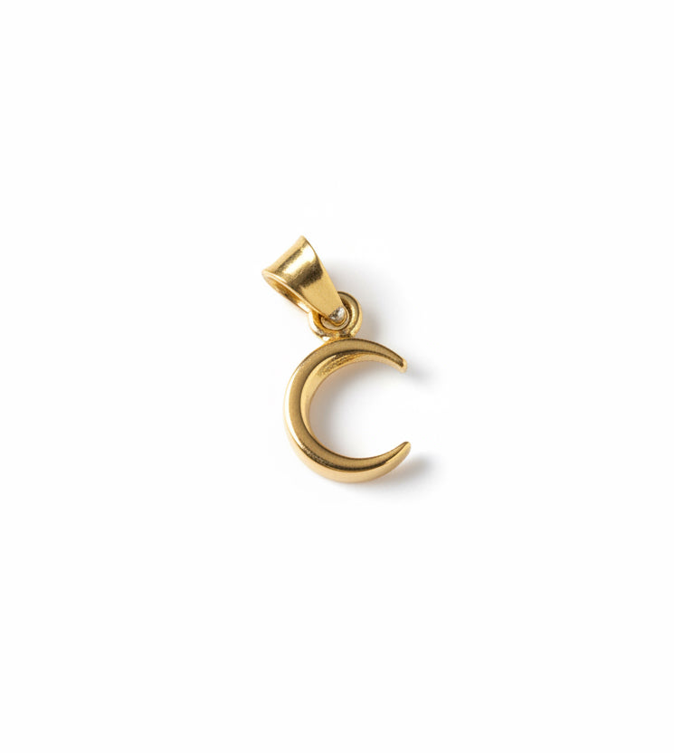The 925 Hilluma charm
