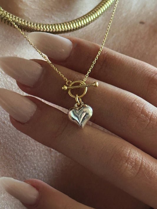 The 925 Beloved Charm necklace