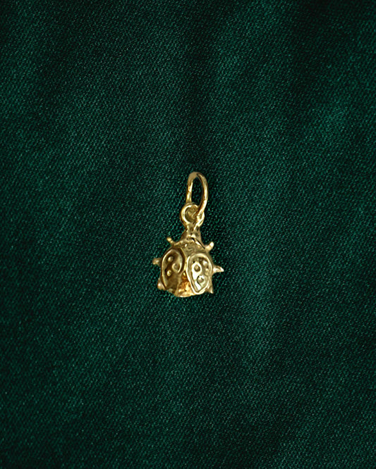 Ladybug Charm
