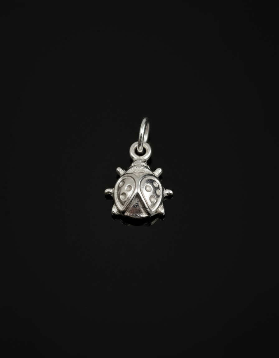 Uğur Böceği Charm