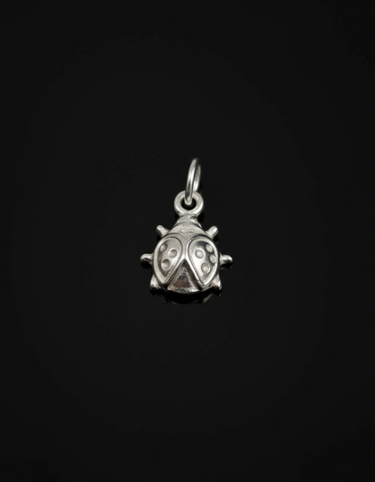 Uğur Böceği Charm