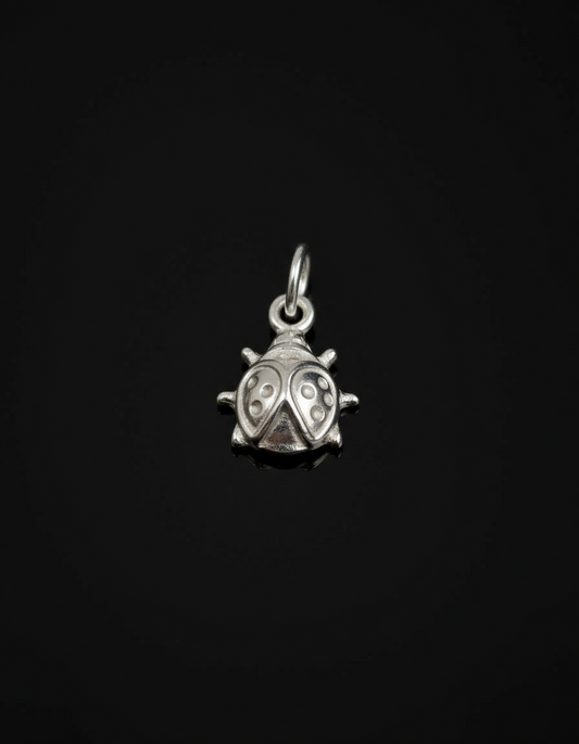 Ladybug Charm
