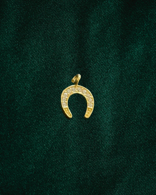 Horseshoe charm