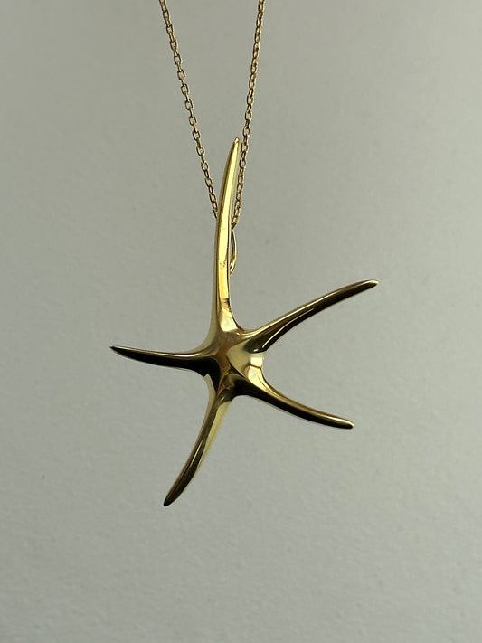 925 Polish starfish necklace