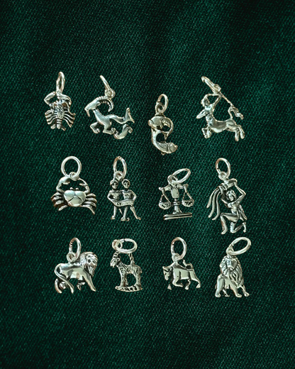 My Zodiac Sign Charm
