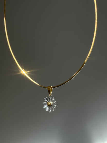 Daisy choker necklace