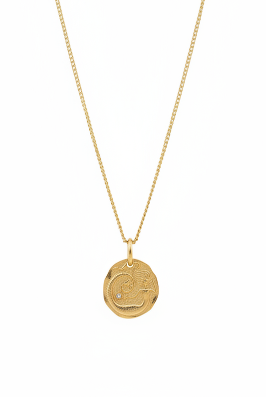 The 925 Mermaid Coin necklace