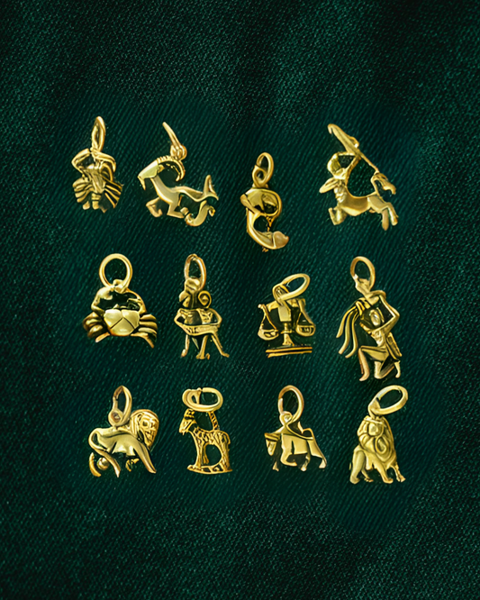 My Zodiac Sign Charm