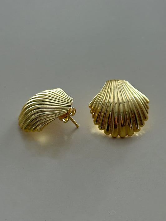 925 Seashell earring