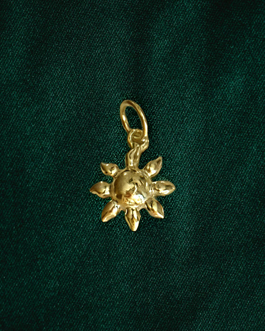 Sun charm