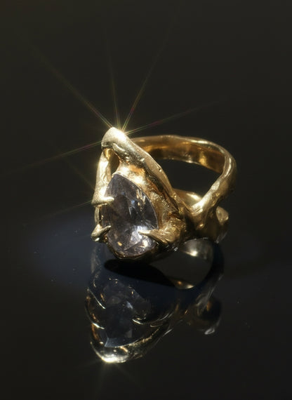 Silent Muse Ring