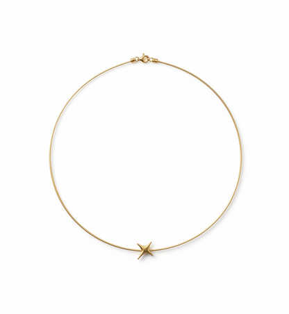 Polestar Choker Necklace