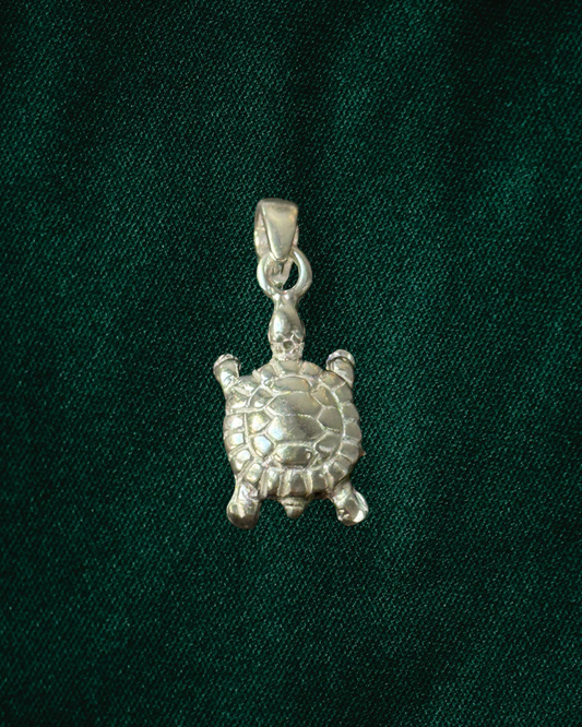 925 Turtle charm