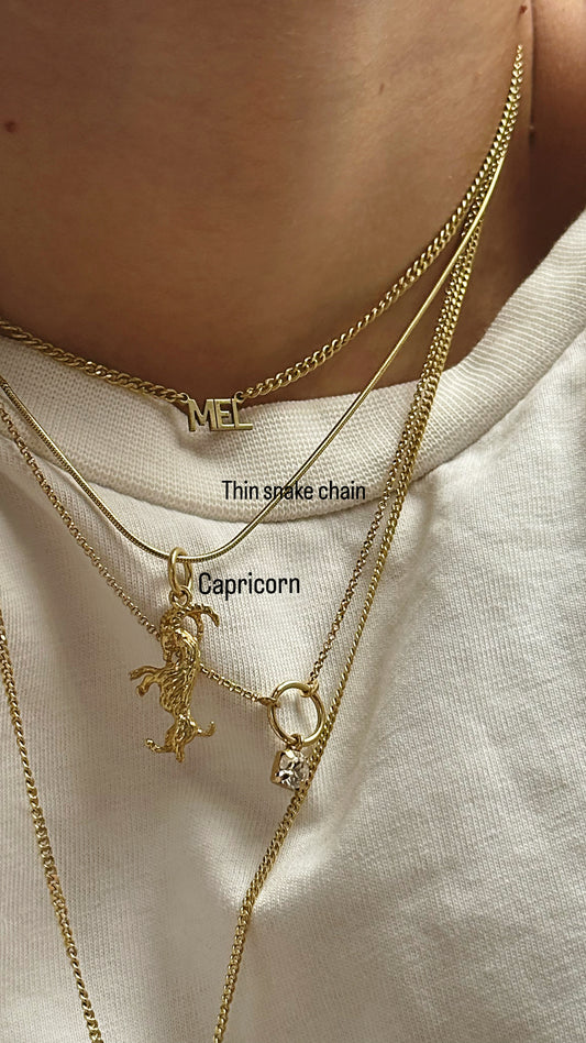 My Zodiac Sign Charm