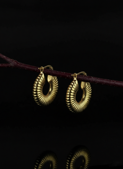 Caterpillar Hoop küpe