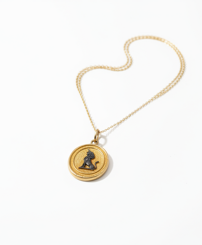 The 925 Lion Plaque necklace