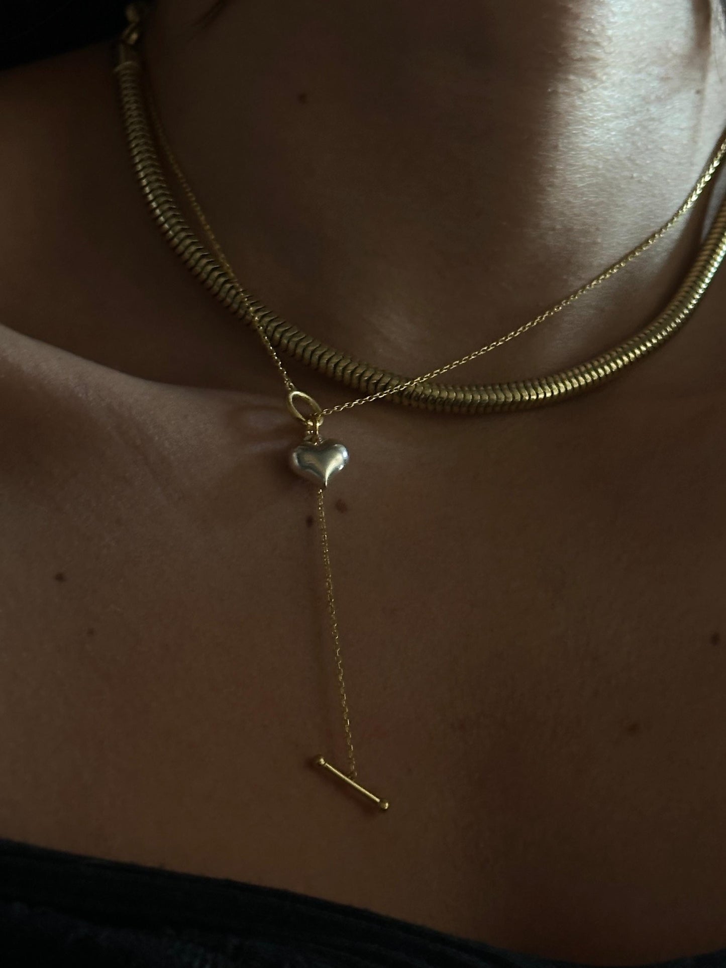 The 925 Beloved Charm necklace