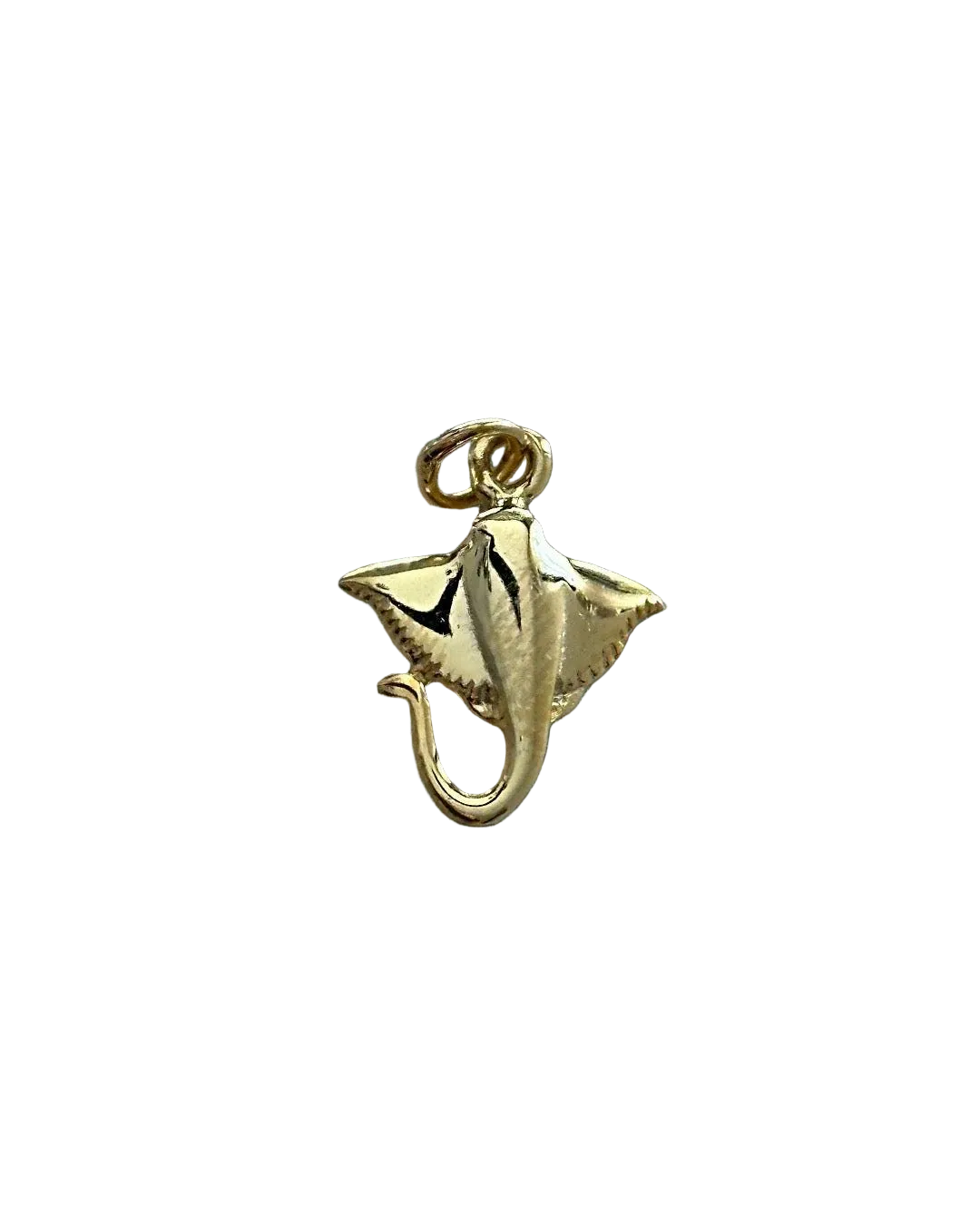 The 925 Diversity charm