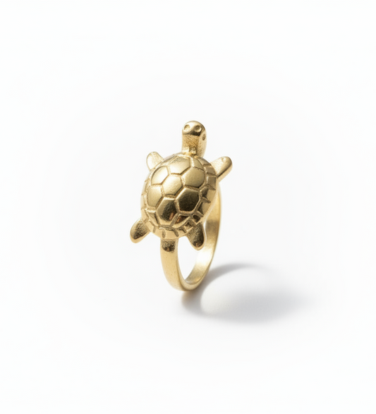 The 925 Slow and Gentle ring