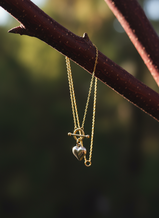 The 925 Beloved Charm necklace