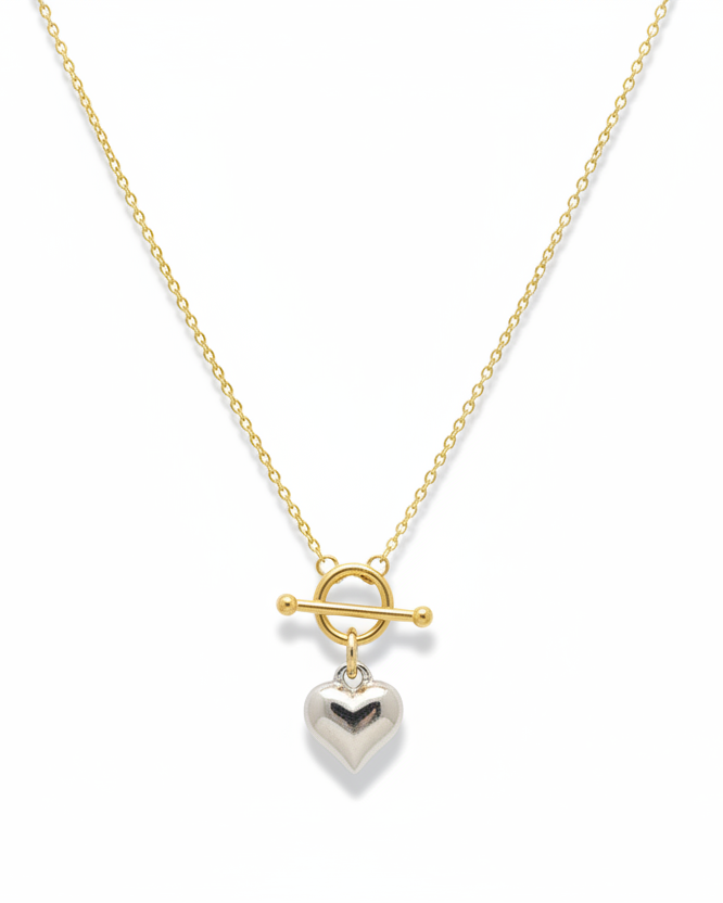 The 925 Beloved Charm necklace