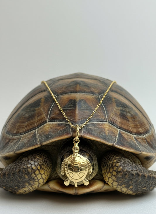 Slow and Gentle kolye